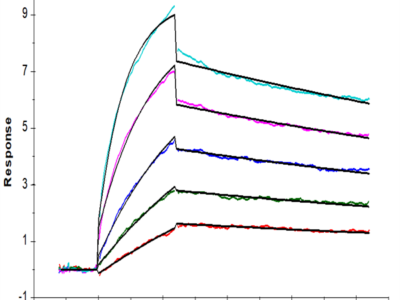 Mouse Integrin alpha V beta 3 (ITGAV&ITGB3) Heterodimer Protein (ITG-MM2V3)