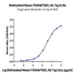 Biotinylated Mouse Integrin alpha V beta 3 (ITGAV&ITGB3) Heterodimer Protein (ITG-MM4V3B)