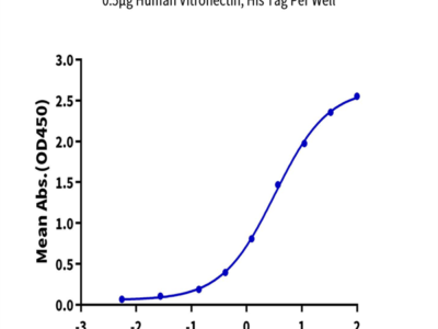 Biotinylated Mouse Integrin alpha V beta 3 (ITGAV&ITGB3) Heterodimer Protein (ITG-MM4V3B)