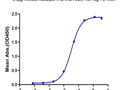 Rhesus macaque Integrin alpha V beta 6 (ITGAV&ITGB6) Heterodimer Protein (ITG-RM1V6)