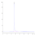 Rhesus macaque Integrin alpha V beta 6 (ITGAV&ITGB6) Heterodimer Protein (ITG-RM1V6)