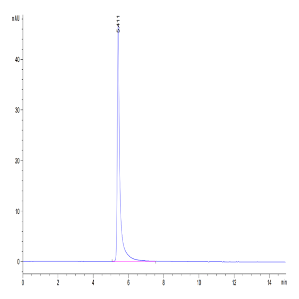Rhesus macaque Integrin alpha V beta 6 (ITGAV&ITGB6) Heterodimer Protein (ITG-RM1V6)