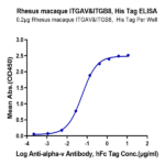 Rhesus macaque Integrin alpha V beta 8 (ITGAV&ITGB8) Heterodimer Protein (ITG-RM1V8)