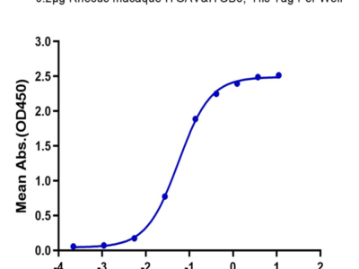 Rhesus macaque Integrin alpha V beta 8 (ITGAV&ITGB8) Heterodimer Protein (ITG-RM1V8)