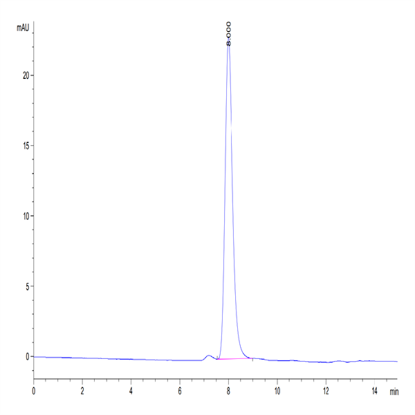 Rhesus macaque Integrin alpha V beta 8 (ITGAV&ITGB8) Heterodimer Protein (ITG-RM1V8)