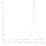 Human JAML Protein (JAM-HM101)