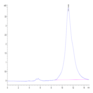 Human JAML Protein (JAM-HM101)