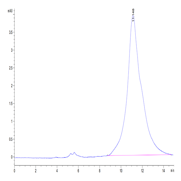 Human JAML Protein (JAM-HM101)