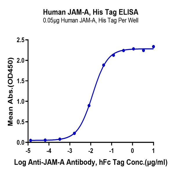 Human JAM-A Protein (JAM-HM10A) Human JAM-A Protein (JAM-HM10A)