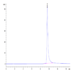 Human FGF-7/KGF Protein (KGF-HE101)