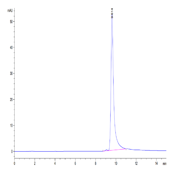 Human FGF-7/KGF Protein (KGF-HE101)