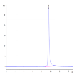 Biotinylated Human FGF-7/KGF Protein (Primary Amine Labeling) (KGF-HE101B)