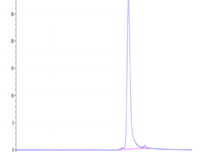 Biotinylated Human FGF-7/KGF Protein (Primary Amine Labeling) (KGF-HE101B)