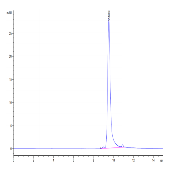 Biotinylated Human FGF-7/KGF Protein (Primary Amine Labeling) (KGF-HE101B)