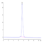 Human KIR2DL1 Protein (KIR-HM4L1)