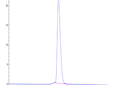 Human KIR2DL1 Protein (KIR-HM4L1)