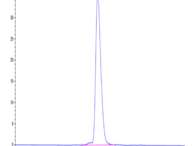 Biotinylated Human KIR2DL1 Protein (KIR-HM4L1B)