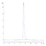 Human KIR2DL2 Protein (KIR-HM4L2)