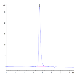 Human KIR2DL2 Protein (KIR-HM4L2)
