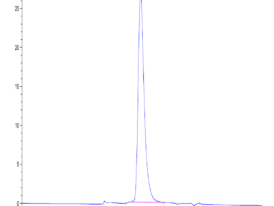 Human KIR2DL2 Protein (KIR-HM4L2)