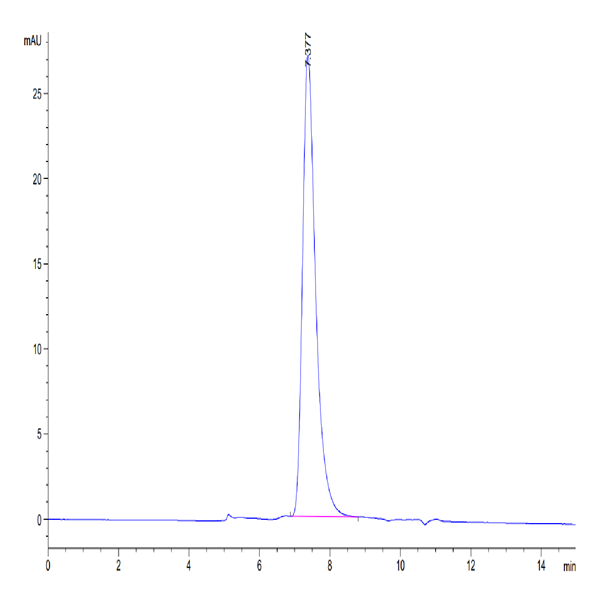 Human KIR2DL2 Protein (KIR-HM4L2) Human KIR2DL2 Protein (KIR-HM4L2)