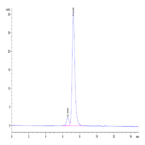 Biotinylated Human KIR2DL2 Protein (KIR-HM4L2B)