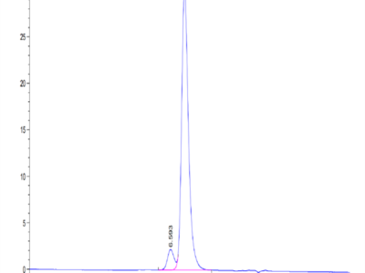 Biotinylated Human KIR2DL2 Protein (KIR-HM4L2B)