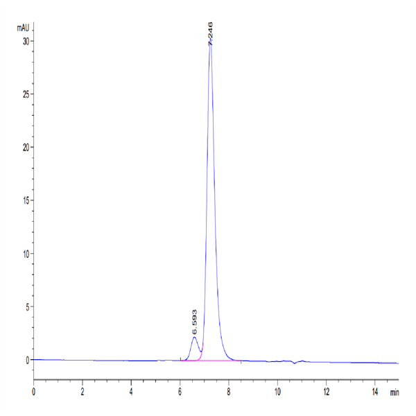Biotinylated Human KIR2DL2 Protein (KIR-HM4L2B) Biotinylated Human KIR2DL2 Protein (KIR-HM4L2B)