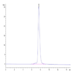 Human KIR2DL3 Protein (KIR-HM4L3)