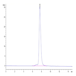 Human KIR2DL3 Protein (KIR-HM4L3)