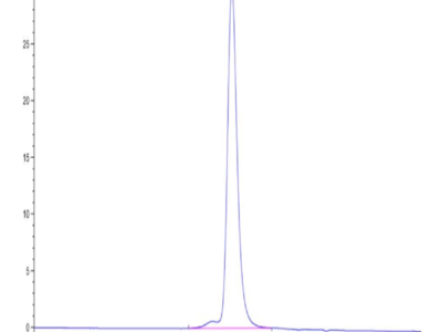 Human KIR2DL3 Protein (KIR-HM4L3)