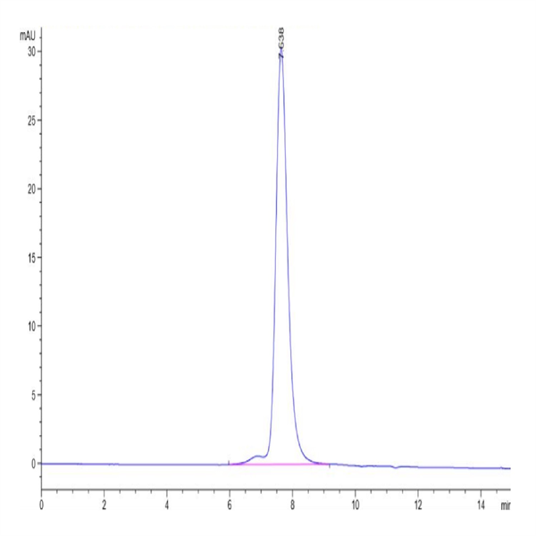 Human KIR2DL3 Protein (KIR-HM4L3)