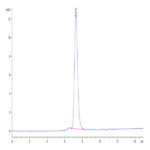 Biotinylated Human KIR2DL3 Protein (KIR-HM4L3B)
