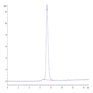 Biotinylated Human KIR2DL3 Protein (KIR-HM4L3B)