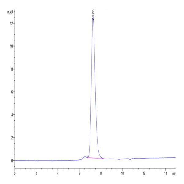 Biotinylated Human KIR2DL3 Protein (KIR-HM4L3B) Biotinylated Human KIR2DL3 Protein (KIR-HM4L3B)