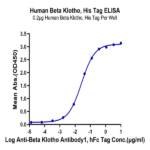 Human Beta Klotho Protein (KLB-HM101)