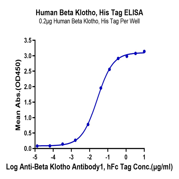 Human Beta Klotho Protein (KLB-HM101)