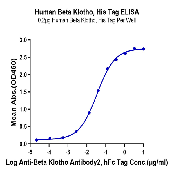 Human Beta Klotho Protein (KLB-HM101)