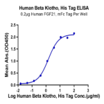 Human Beta Klotho Protein (KLB-HM101)