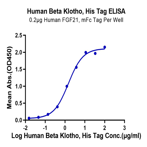 Human Beta Klotho Protein (KLB-HM101)