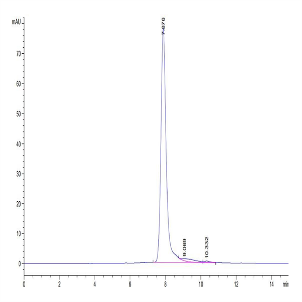 Human Beta Klotho Protein (KLB-HM101)