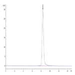 Cynomolgus KLKB1 Protein (KLK-CM1B1)