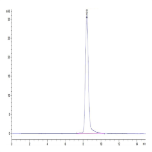 Cynomolgus KLKB1 Protein (KLK-CM1B1)