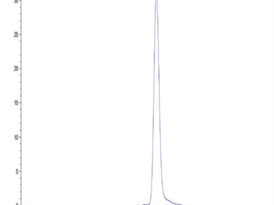 Cynomolgus KLKB1 Protein (KLK-CM1B1)