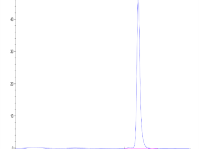 Human Kallikrein 3/PSA Protein (KLK-HM103)