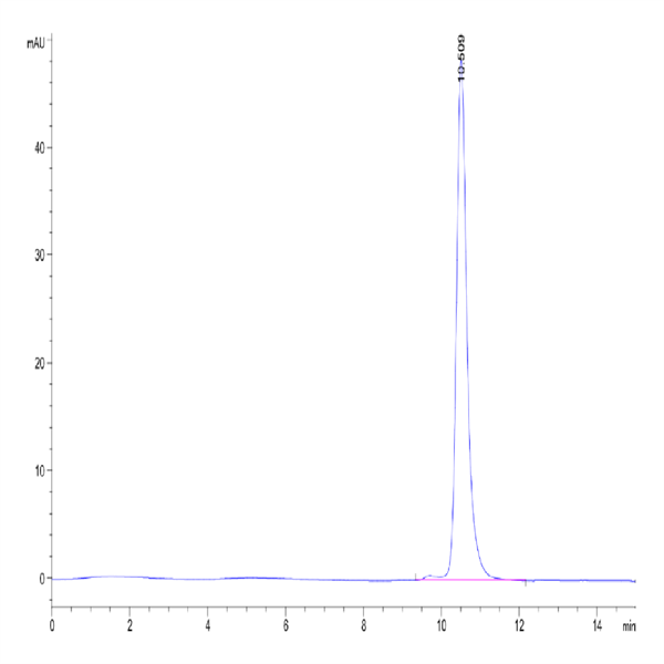 Human Kallikrein 3/PSA Protein (KLK-HM103) Human Kallikrein 3/PSA Protein (KLK-HM103)
