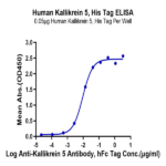 Human Kallikrein 5/KLK5 Protein (KLK-HM105)