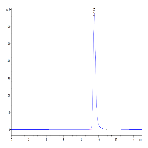 Human Kallikrein 5/KLK5 Protein (KLK-HM105)