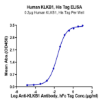 Human KLKB1 Protein (KLK-HM1B1)