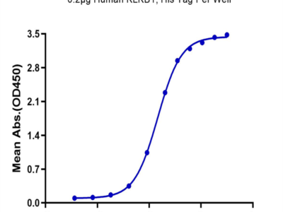 Human KLKB1 Protein (KLK-HM1B1)